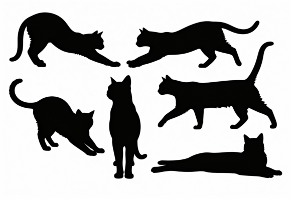 Black Cat Silhouettes Bundle
