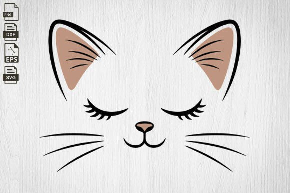 Cat Face, Kitten Face, Whiskers, Lashes