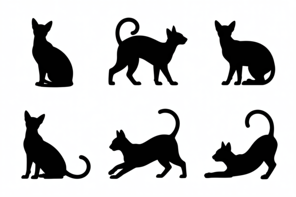 Cat Poses Black Silhouettes
