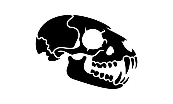 Silhouette Illustration of a Cat Skull