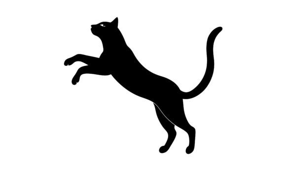 Silhouette of a Black Jumping Cat