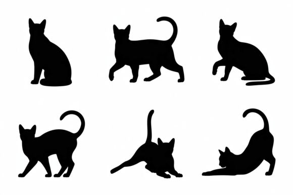 Silhouette Poses of a Cat Breed